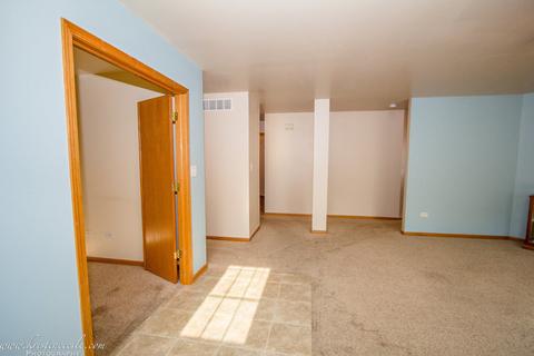 5607 W Sutton Pl #C, Monee, IL 60449 photo 7