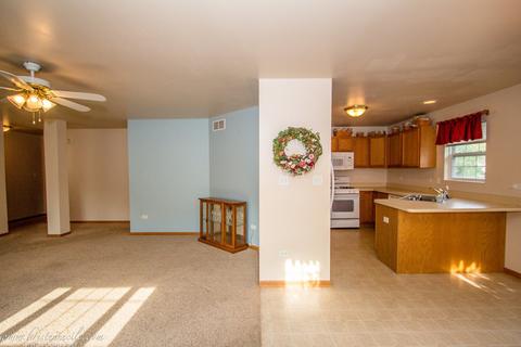 5607 W Sutton Pl #C, Monee, IL 60449 photo 8