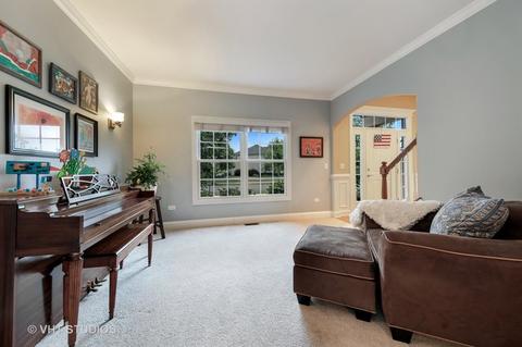 13216 Skyline Dr, Plainfield, IL 60585 photo 8
