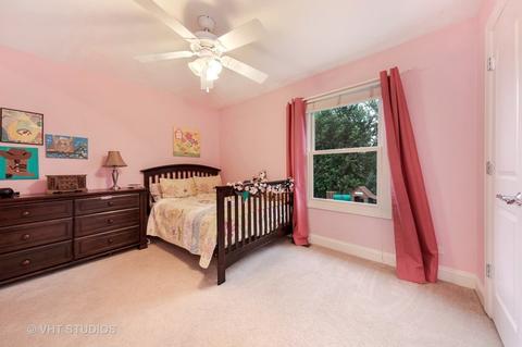 13216 Skyline Dr, Plainfield, IL 60585 photo 17