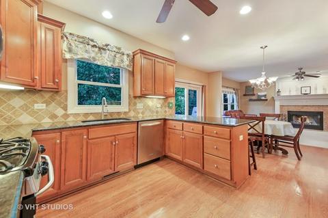13216 Skyline Dr, Plainfield, IL 60585 photo 4