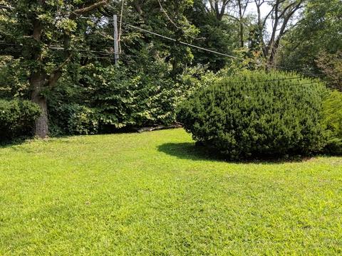 16471 Hillcrest Dr, Markham, IL 60428 photo 23