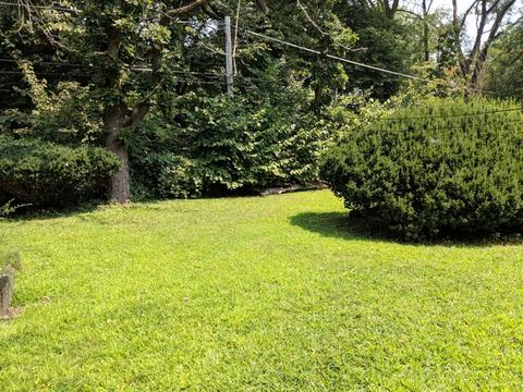 16471 Hillcrest Dr, Markham, IL 60428 photo 22