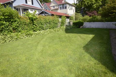 911 Simpson St, Evanston, IL 60201 photo 29