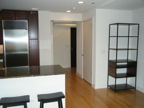 60 E Monroe St #3006, Chicago, IL 60603 photo 4