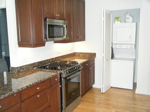 60 E Monroe St #3006, Chicago, IL 60603 photo 5