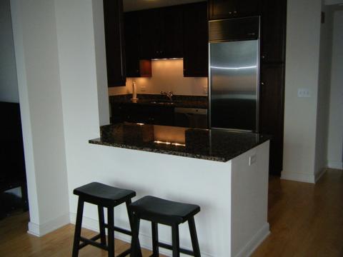 60 E Monroe St #3006, Chicago, IL 60603 photo 3