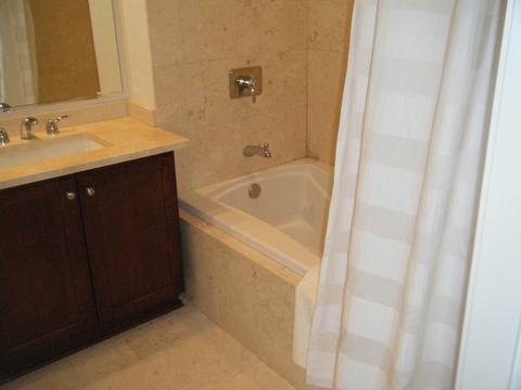 60 E Monroe St #3006, Chicago, IL 60603 photo 10