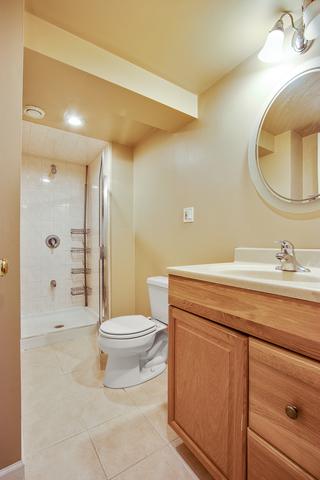 447 Dee Ln, Roselle, IL 60172 photo 9
