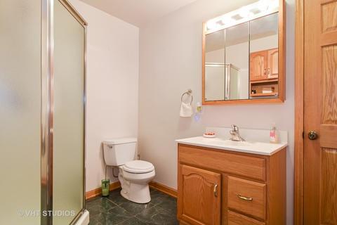 1145 Apple St, Hoffman Estates, IL 60169 photo 10