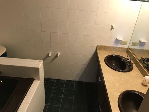 159 S Maple Ave, Hillside, IL 60162 photo 7
