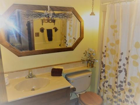18181 Clyde Ave, Lansing, IL 60438 photo 14