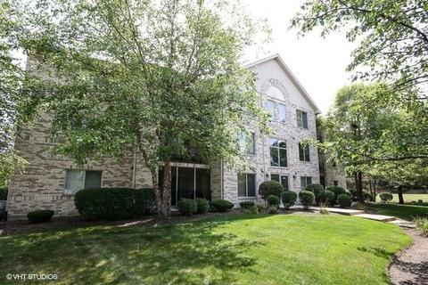 6845 Forestview Dr #3B, Oak Forest, IL 60452 photo 1
