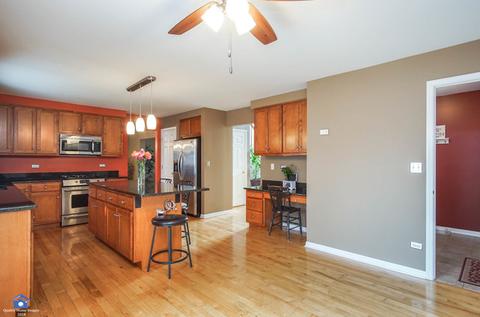 24338 Golden Eagle Dr, Plainfield, IL 60544 photo 10