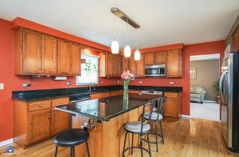 24338 Golden Eagle Dr, Plainfield, IL 60544 photo 8