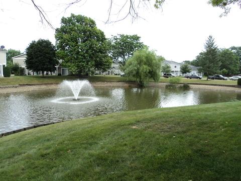707 Drae Ct, Wheeling, IL 60090 photo 18