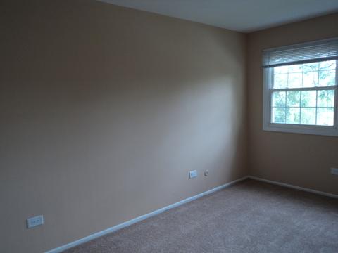 707 Drae Ct, Wheeling, IL 60090 photo 14