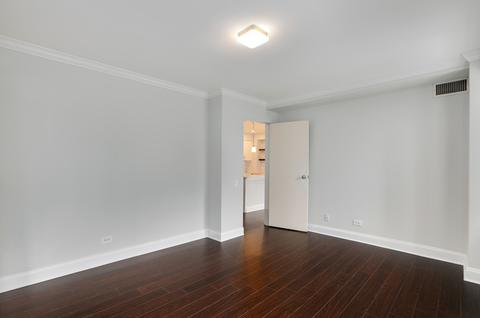 40 E 9th St #1302, Chicago, IL 60605 photo 15