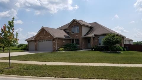 4979 W Hawk Ln, Monee, IL 60449 photo 1