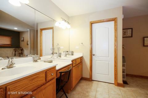 4979 W Hawk Ln, Monee, IL 60449 photo 8