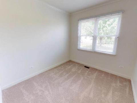 21745 W Empress Ln, Plainfield, IL 60544 photo 20