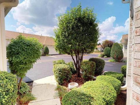 21745 W Empress Ln, Plainfield, IL 60544 photo 3