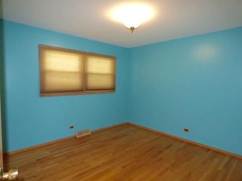 642 W Willow Gln, Addison, IL 60101 photo 12