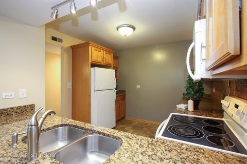 4512 Kings Walk Dr #2A, Rolling Meadows, IL 60008 photo 5