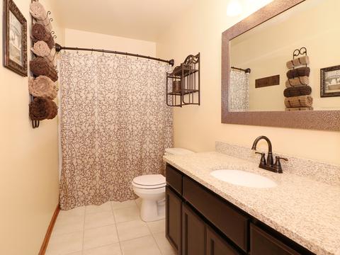 1718 Great Falls Dr, Plainfield, IL 60586 photo 18