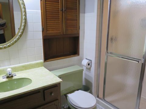 3032 Ruby St, Franklin Park, IL 60131 photo 20