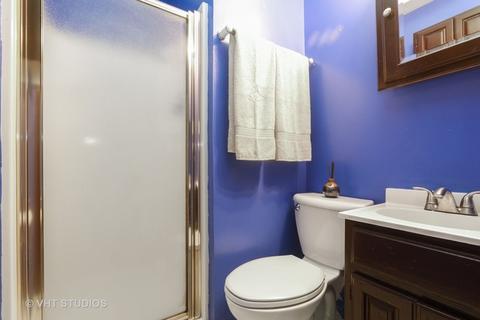 20301 Hellenic Dr, Olympia Fields, IL 60461 photo 5