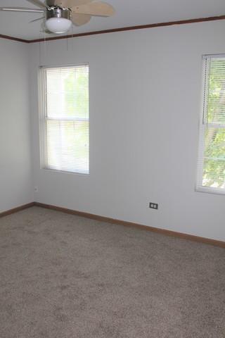 4210 Rivertowne Ct, Plainfield, IL 60586 photo 20