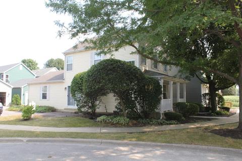 4210 Rivertowne Ct, Plainfield, IL 60586 photo 4