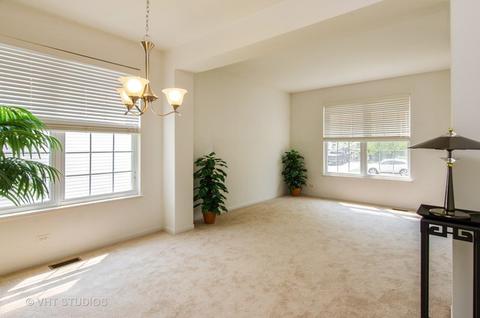 250 Gregory M Sears Dr, Gilberts, IL 60136 photo 2