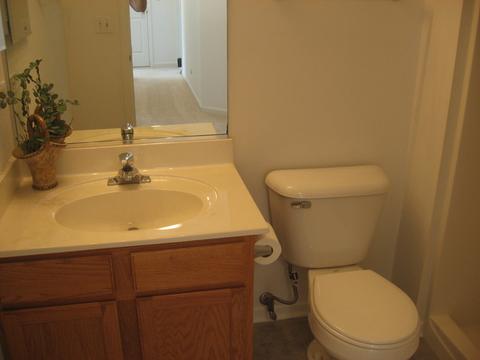 250 Gregory M Sears Dr, Gilberts, IL 60136 photo 12
