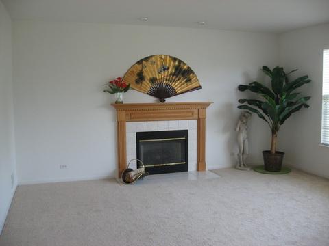 250 Gregory M Sears Dr, Gilberts, IL 60136 photo 11