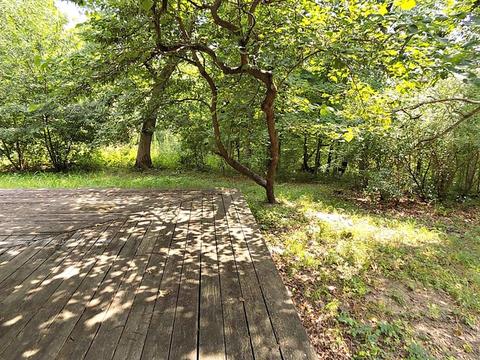 2586 E 1251st Rd, Ottawa, IL 61350 photo 30