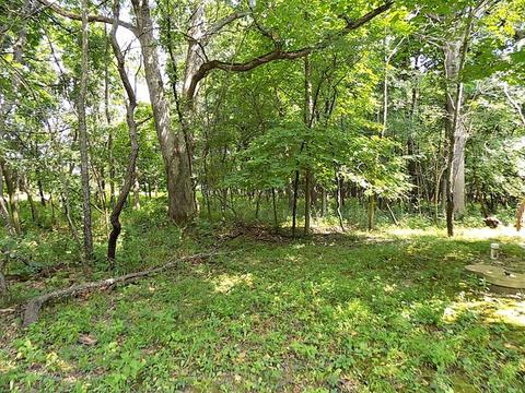 2586 E 1251st Rd, Ottawa, IL 61350 photo 13