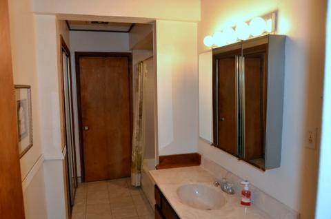 17327 Lorenz Ave, Lansing, IL 60438 photo 8