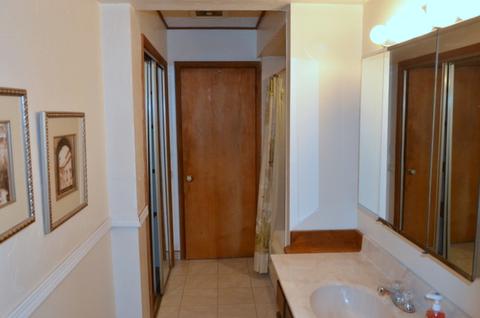 17327 Lorenz Ave, Lansing, IL 60438 photo 9