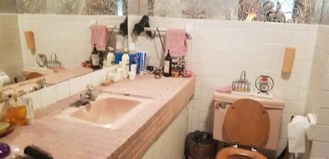 9120 Delphia Ave, Des Plaines, IL 60016 photo 18
