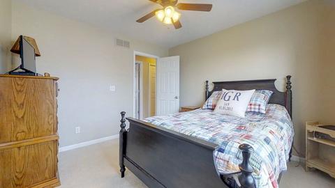 312 Windstone Dr, Tolono, IL 61880 photo 33