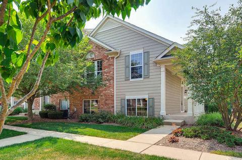 2466 Emily Ln, Elgin, IL 60124 photo 1