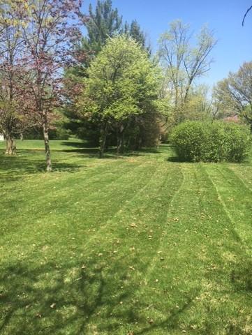 137 Graymoor Ln, Olympia Fields, IL 60461 photo 3