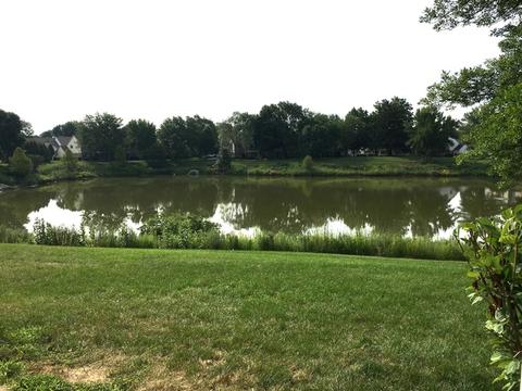1604 Warwick Ct #B1, Wheeling, IL 60090 photo 24