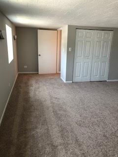 5204 State Rd, Burbank, IL 60459 photo 8