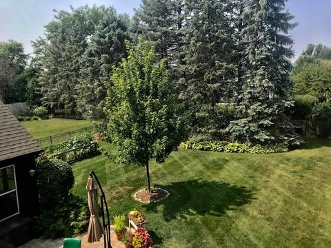 1626 Orth Dr, Wheaton, IL 60189 photo 33