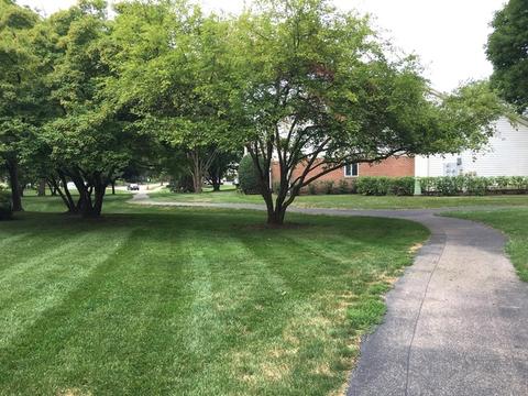 1504 Camden Ct #C1, Wheeling, IL 60090 photo 22