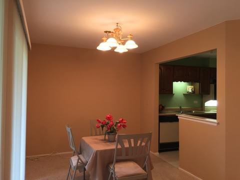 1504 Camden Ct #C1, Wheeling, IL 60090 photo 5