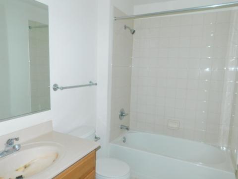 511 Prestwick Ln #304, Wheeling, IL 60090 photo 5